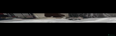 Akita Puppy 1