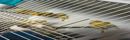 Canaries birds for sale: 1large cage only 2 canaries  - Advert 1