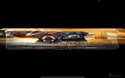 Rottweiler dogs for stud: Stunning KC registered fully health tested male   in Burnley - Image 1