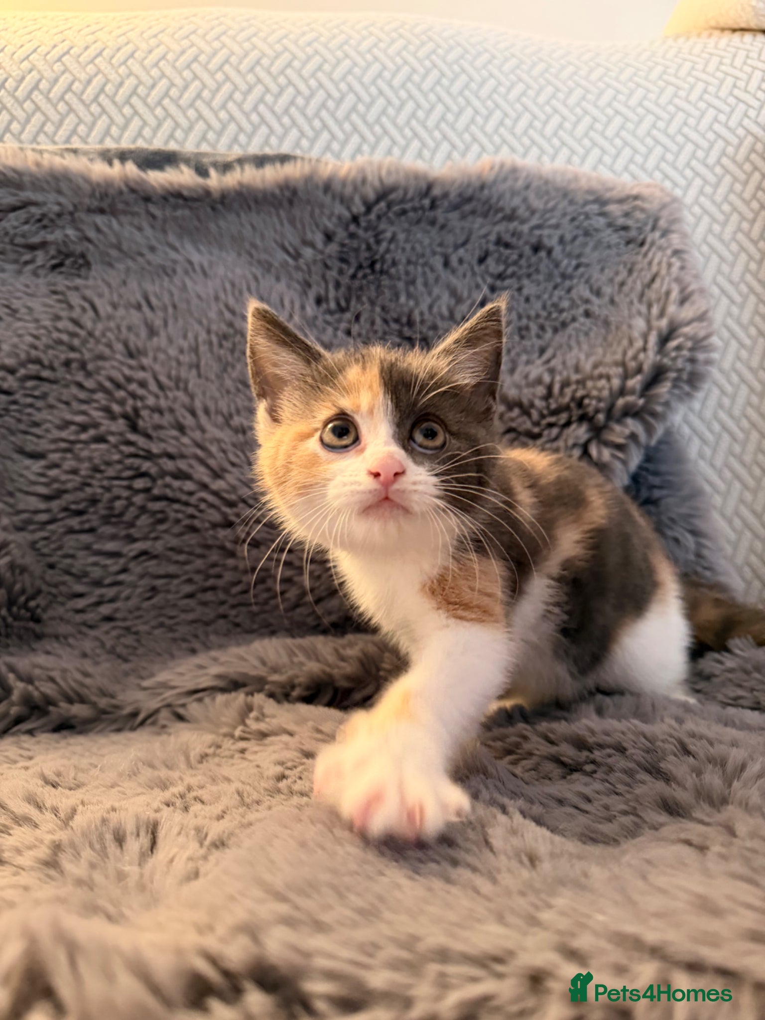 Delilah