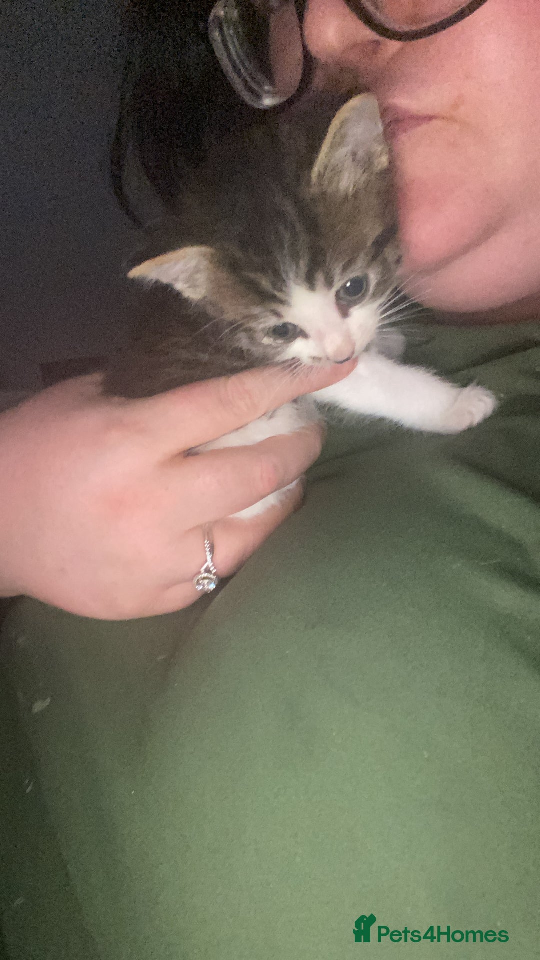 Maine Coon cats for sale: SORRY SOLD!!💜xxxx - Image 19
