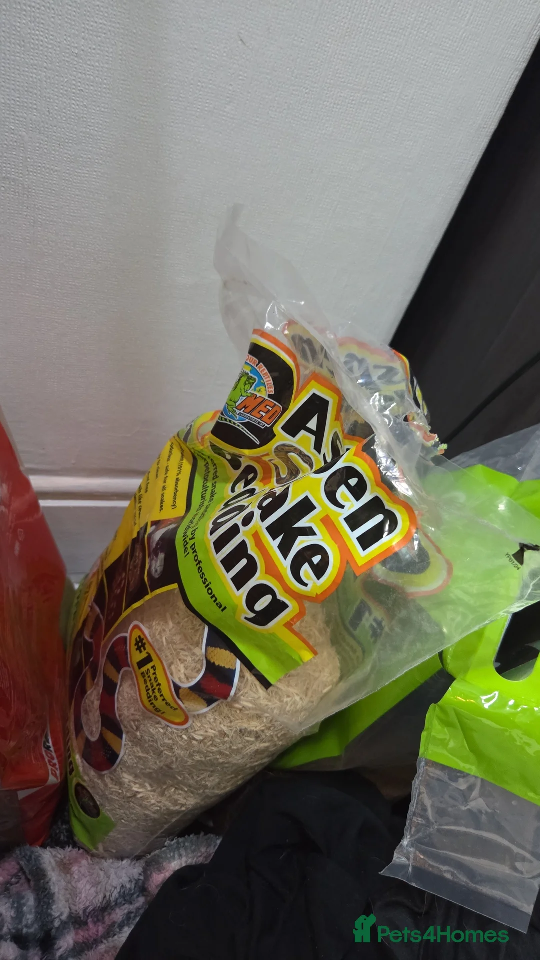 Corn Snake reptiles for sale: Baby Corn snake for sale - Advert 5