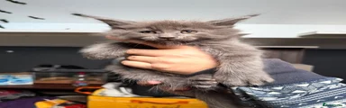Boy 2