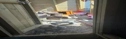 Quail poultry for sale: ** QUAIL HATCHING EGGS ** - Advert 13