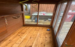 Budgerigars birds for sale: Budgies with an Aviary available. - Image 13