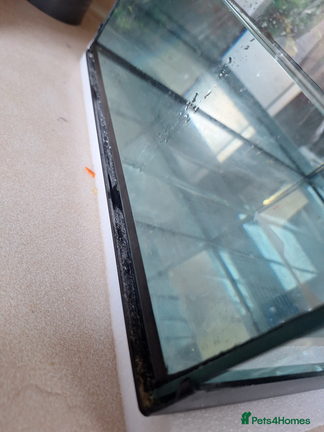 Other/Mixed Breed fish for sale: 60ltr Fishtank with Accessories Only - Image 13