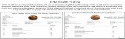 Labrador Retriever dogs for sale: Stunning Red Fox Labs : Health Checked-KC Reg-FTCH - Advert 21