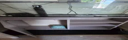 Other/Mixed Breed fish for sale: fish tank & unit  - Advert 2