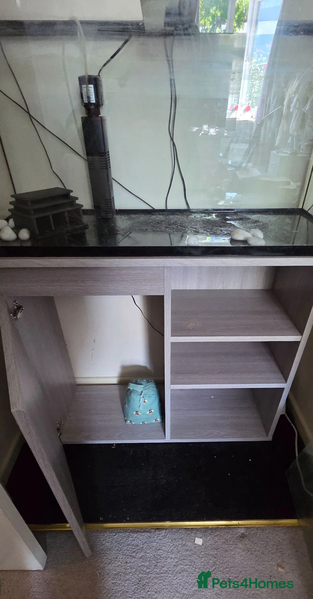 Other/Mixed Breed fish for sale: fish tank & unit  - Advert 2