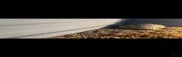 Tortoise reptiles for sale: Leopard Tortoise  - Advert 7