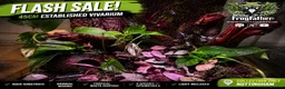 Frog reptiles for sale: Established 45cm Exo Terra Bioactive vivarium  - Advert 1