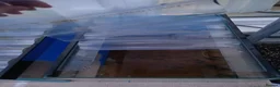 Bettas fish for sale: 3X custom made 31L Fish Tank - Advert 7
