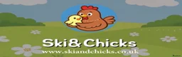 Chickens poultry for sale: 11x POL Hybrid Hens for sale in Hounslow! - Advert 4