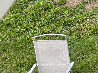 Sprocker dogs - Advert 13