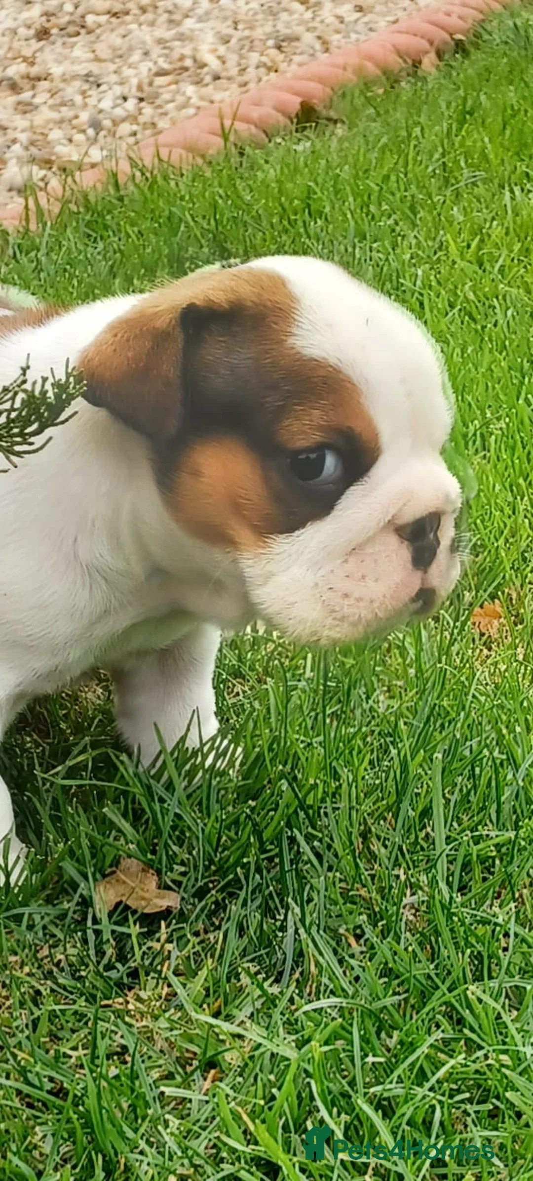 Gallery Image {{count}}