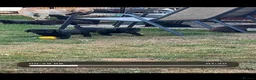 Labrador Retriever dogs for sale: Royal Kennel club registered puppies - Advert 15