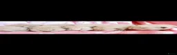 Ragdoll cats for sale: Ragdoll x bengal  bengal x maincoon - Advert 2