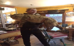 Maine Coon cats for sale: Maine coon Kitten - Image 3