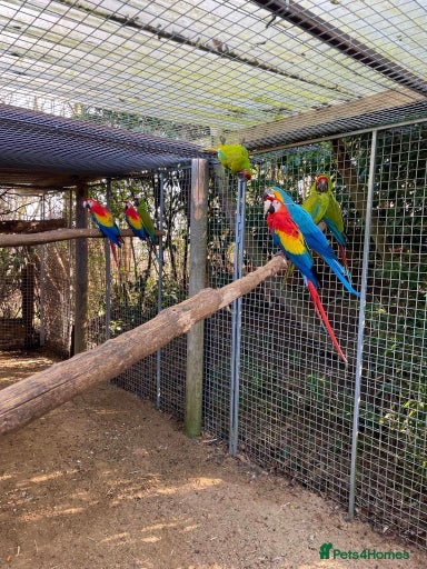 Gallery Image {{count}}