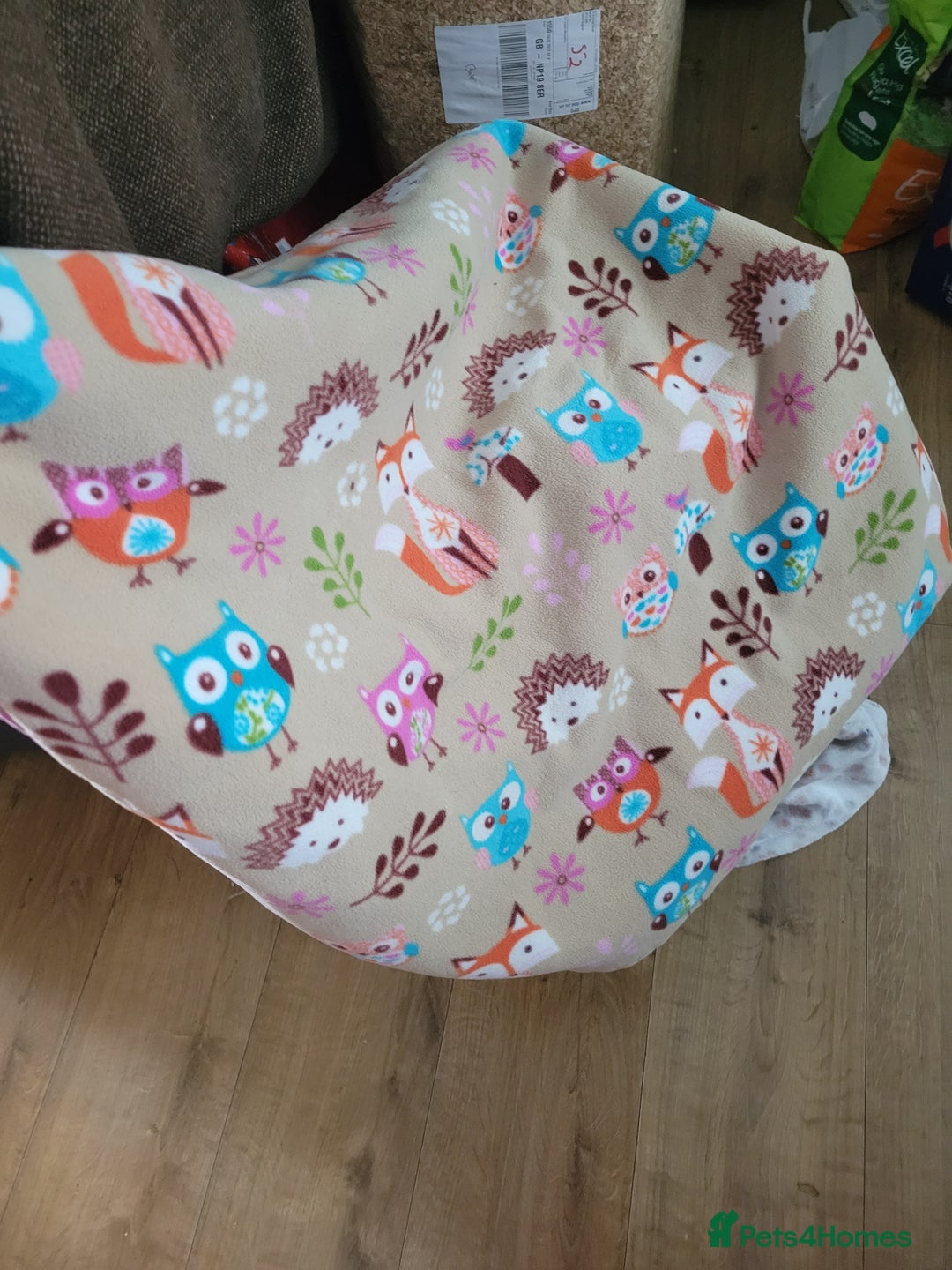 Guinea Pig rodents for sale: 4 mnth old male GPig with Cage, Food & Bedding - Advert 10