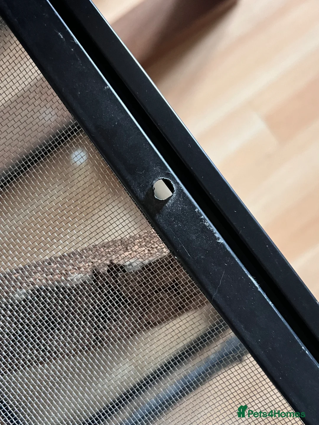 Gecko reptiles for sale: Zoomed 45x45x60cm Terrarium/Reptile Enclosure in Huntingdon - Advert 7