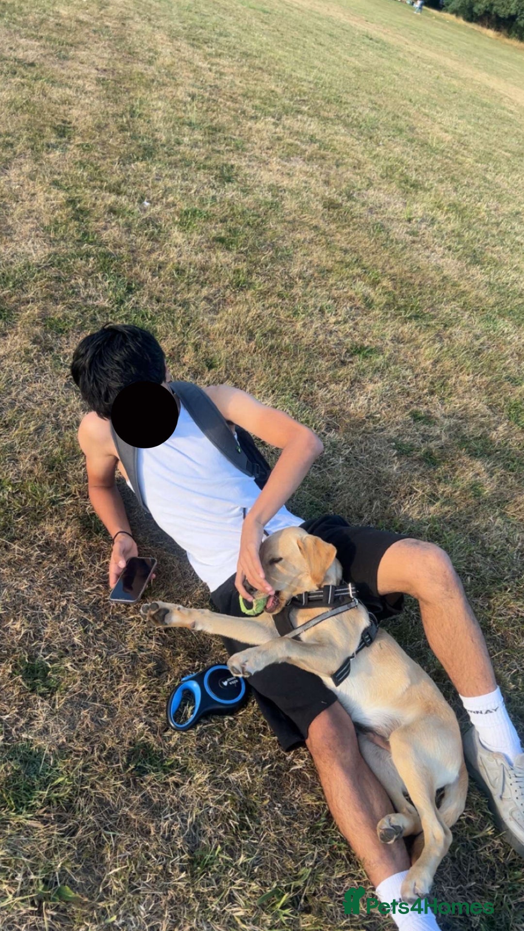 Gallery Image {{count}}