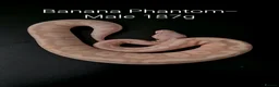 Python Snake reptiles for sale: Juvenile Ball Pythons in Manchester - Advert 5