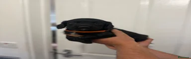 Orange collar 