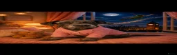 Cane Corso dogs for sale: Carma  - Advert 11
