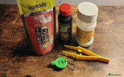Gecko reptiles for sale: Full setup komodo  - Image 13