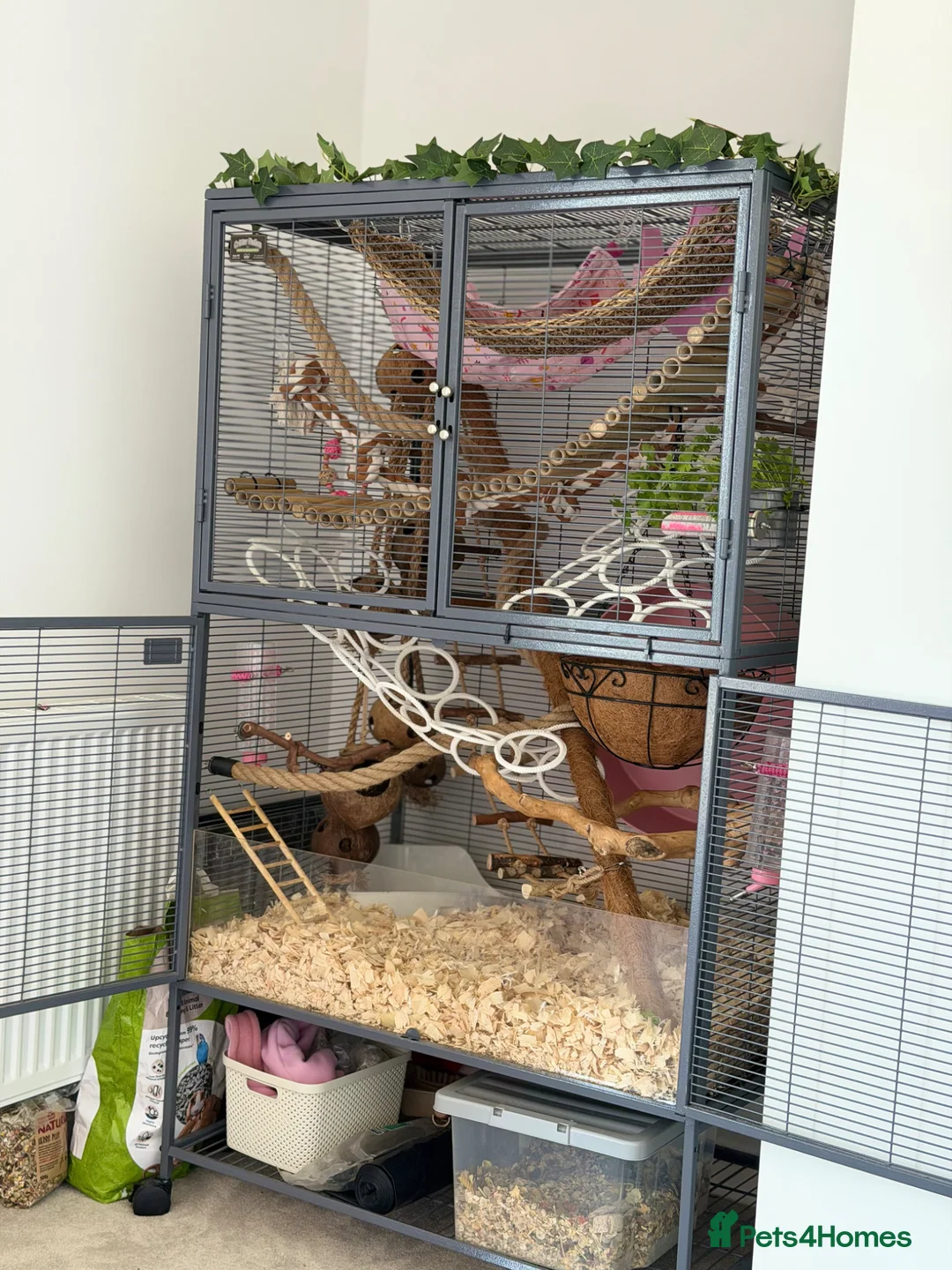 Rat rodents for sale: Double critter nation and large Perspex base  in Liverpool - Advert 1