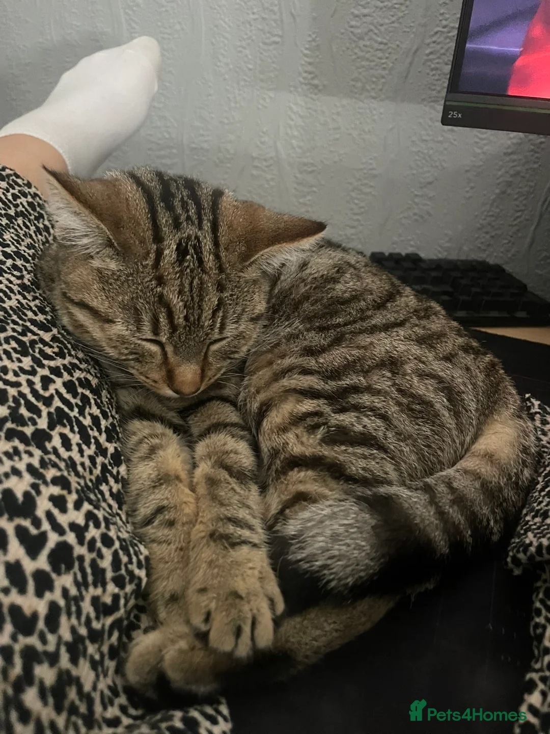 Gallery Image {{count}}