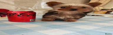  Special boy