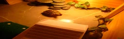 Hermann Tortoise reptiles for sale: 1 Year Old Hermann Tortoise with Tortoise Table - Advert 6