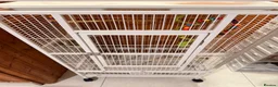 Budgerigars birds for sale: Two Budgies with Cage and Accessories in London - Advert 9