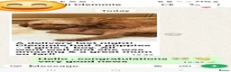 Cockapoo dogs for stud: F1 cocapoo well Proven extensively health tested  - Advert 9