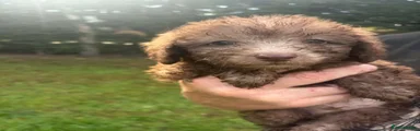 Boy 3