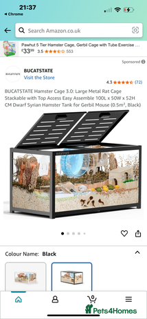 Hamster rodents - Advert 9