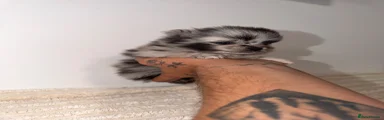 Milo