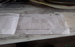 Gouramis fish for sale: 3 ball pythons  in Sutton-in-Ashfield - Image 3