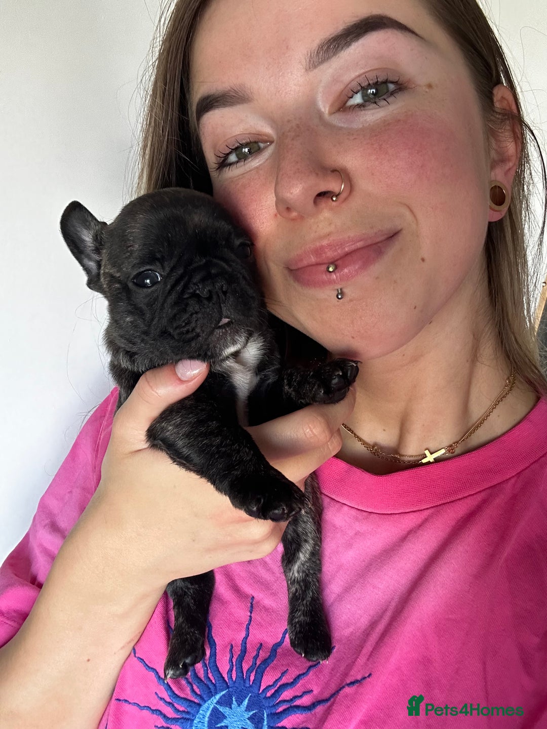 French Bulldog dogs for sale: FrenchAngels 👼🏼🐾 - Image 18