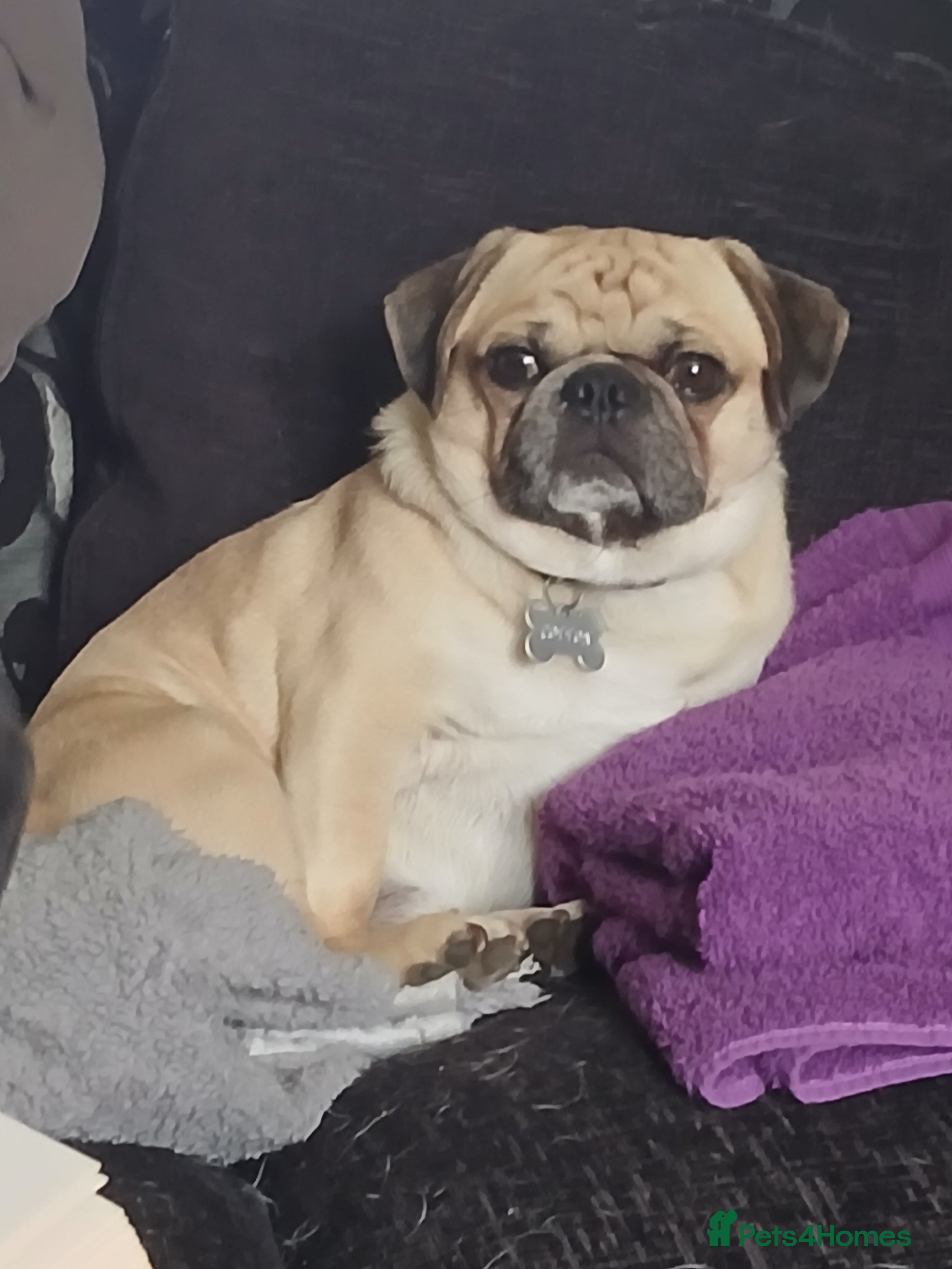 Pablo