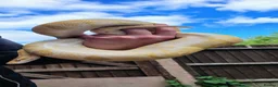 Python Snake reptiles for sale: Banana Ghi ball python  - Advert 5