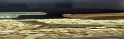 Bearded Dragon reptiles for sale: Bearded dragon  in Sunderland - Advert 2