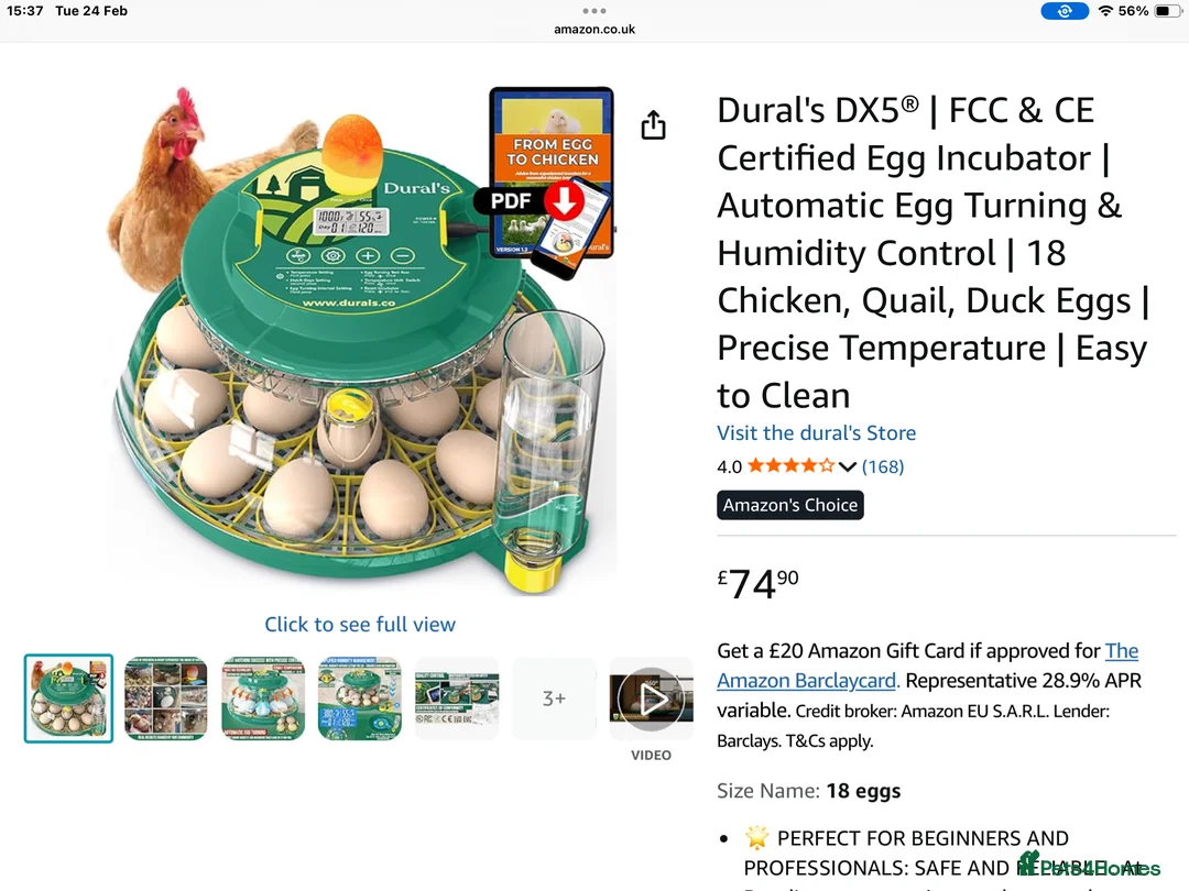 Mixed Breed poultry for sale: Incubator fully automatic in Haverfordwest - Advert 2