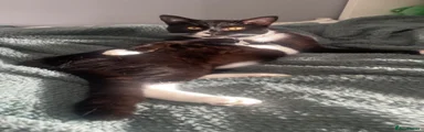 Billie Jean