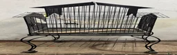 Cockatiels birds for sale: 3 mixed cockatiels 1 hand tame with 2 cages  - Advert 9