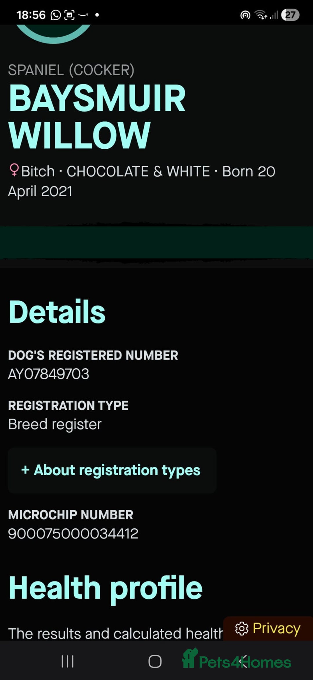 Cockerdor dogs for sale: Gorgeous Cockerdor puppies. Health Tested Parents. - Advert 10