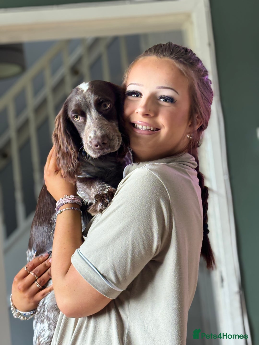 Cocker Spaniel dogs for sale: 1female 1male 7 month old puppies - Image 2