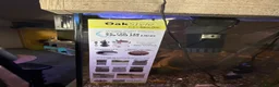 Other/Mixed Breed fish for sale: 305L Aqua One Aquarium + 300 Fish Full Setup - Advert 3